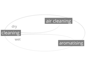 THE CLEANING SYSTEM